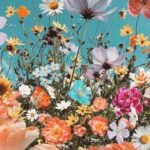 Top flower wallpaper free Download