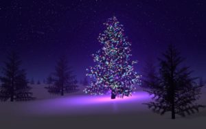 Top free christmas tree wallpaper backgrounds 4k Download