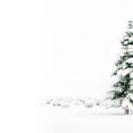 Top free christmas tree wallpaper backgrounds 4k Download