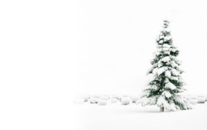 Top free christmas tree wallpaper backgrounds 4k Download