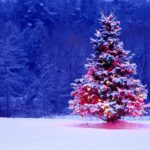 Download free christmas tree wallpaper backgrounds HD