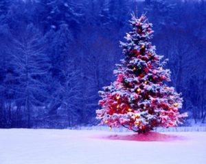 Download free christmas tree wallpaper backgrounds HD