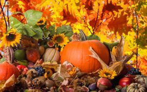 Top free thanksgiving wallpaper desktop background 4k Download