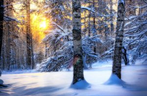 Top free widescreen winter desktop wallpaper 4k Download