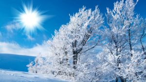 Download free widescreen winter desktop wallpaper HD