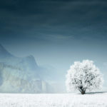 Top free widescreen winter desktop wallpaper HD Download