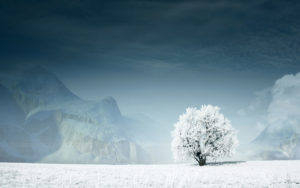 Top free widescreen winter desktop wallpaper HD Download