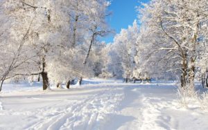 Download free widescreen winter desktop wallpaper HD