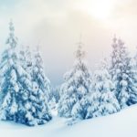 Download free widescreen winter desktop wallpaper HD
