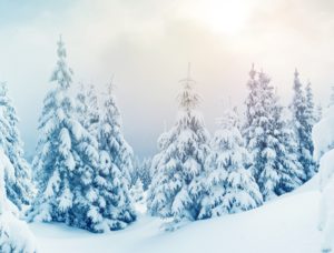 Download free widescreen winter desktop wallpaper HD