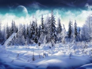 Download free winter wallpaper 1024x768 HD