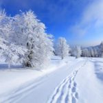 Top free winter wallpaper 1024x768 HD Download