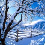 Download free winter wallpaper 1024x768 HD