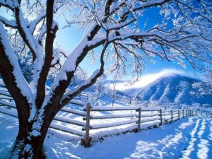 Download free winter wallpaper 1024x768 HD