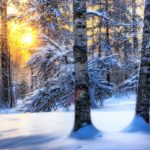 Top free winter wallpaper 1024x768 Download