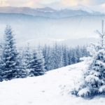 Download free winter wallpaper 1024x768 HD