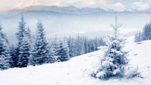 Download free winter wallpaper 1024x768 HD