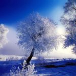 Top free winter wallpaper 1024x768 4k Download