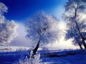 Top free winter wallpaper 1024x768 4k Download