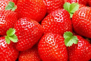 Top fruit wallpaper free Download