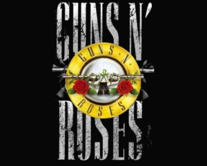 Top guns n roses wallpapers desktop Download