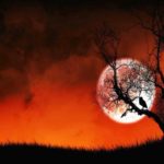 Download halloween tree wallpaper HD