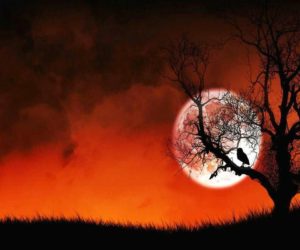 Download halloween tree wallpaper HD