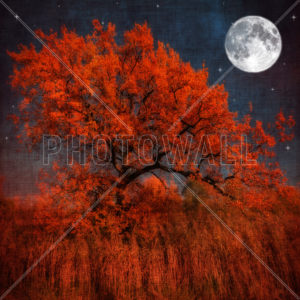 Top halloween tree wallpaper HD Download