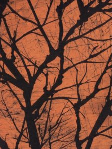 Top halloween tree wallpaper 4k Download