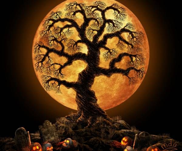 Download halloween tree wallpaper HD