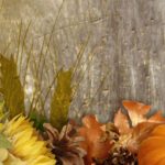 Top harvest wallpaper backgrounds 4k Download