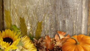 Top harvest wallpaper backgrounds 4k Download