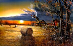 Top harvest wallpaper backgrounds Download