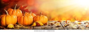 Top harvest wallpaper backgrounds 4k Download