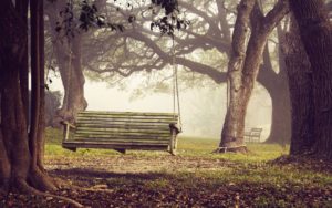 Top hd bench wallpaper HD Download