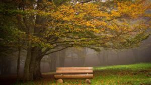 Download hd bench wallpaper HD