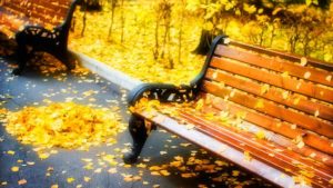 Download hd bench wallpaper HD