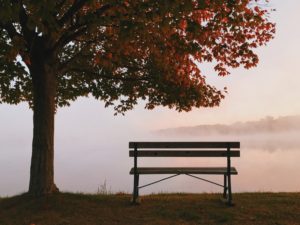 Download hd bench wallpaper HD