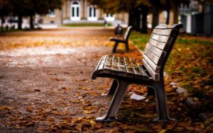 Top hd bench wallpaper HD Download