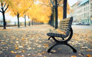 Download hd bench wallpaper HD