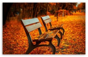 Top hd bench wallpaper 4k Download