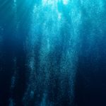 Top hd wallpapers under ocean free Download