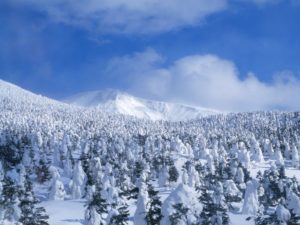 Top high resolution snow wallpaper free Download