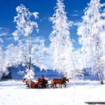 Download high resolution winter scene wallpaper HD