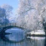 Download high resolution winter scene wallpaper HD