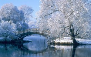 Download high resolution winter scene wallpaper HD