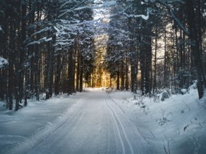 Top high resolution winter scene wallpaper 4k Download