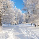 Top high resolution winter scene wallpaper HD Download