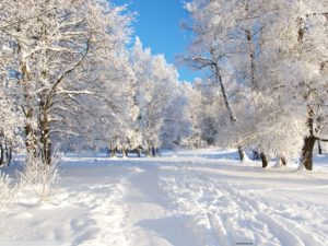 Top high resolution winter scene wallpaper HD Download