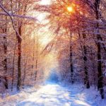 Download high resolution winter scene wallpaper HD